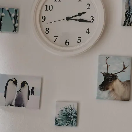 Finnenhaus Apartment *