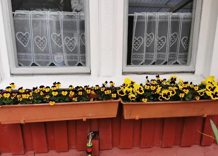 Apartmán Finnenhaus *